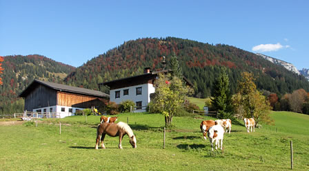 Urlaub auf dem Bauernhof in Annaberg-Lungötz