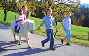 Kinderparadies am Bauernhof